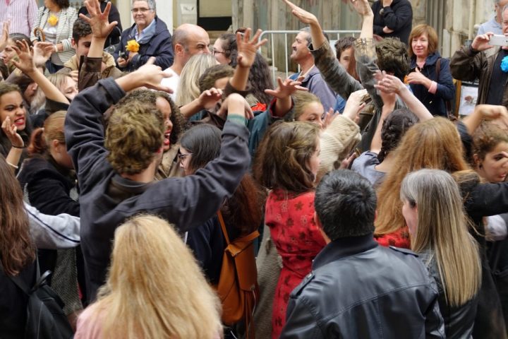 DSC04556 Custom Custom